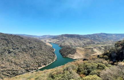 Andar Moradia T4 na Casa do Olival - Foto 43