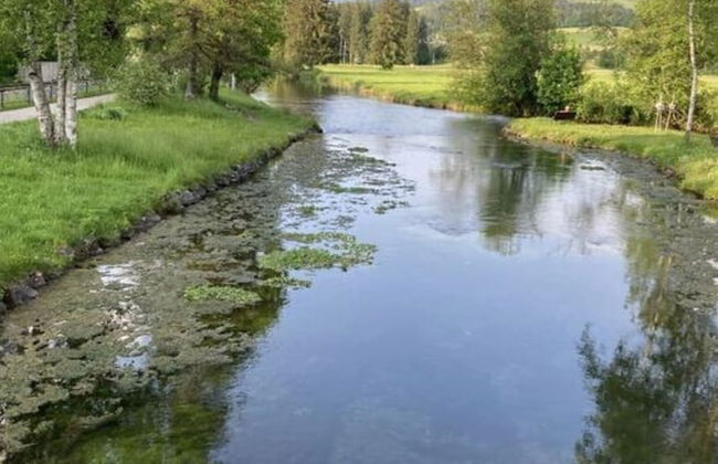 Holiday Apartment Rosi Denz - Photo 13