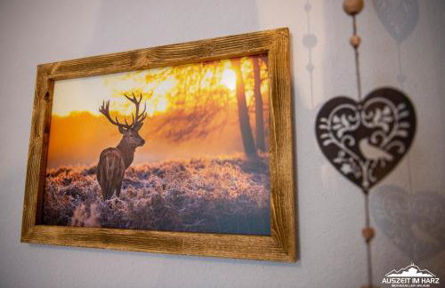 Auszeit-im-Harz Haus 1 Wohnung Schnarcherklippe - Photo 16