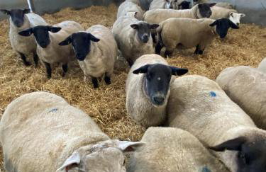 South Black Hill - Foto 29