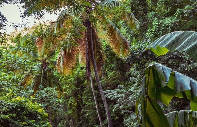 Excursión a Vermont Nature Trail - Foto 1