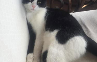 Agriturismo San Carlo - Foto 42