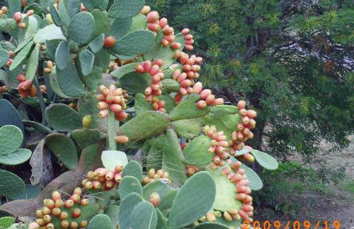 Agriturismo San Pietro - Foto 67