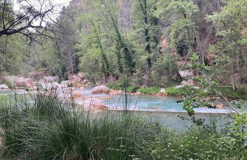 El Masico Rural - Foto 10