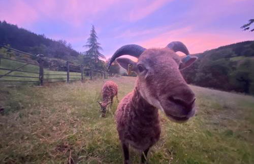 Black Mountains Stylish Hideaway, nr Crickhowell - Photo 26