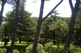 A 20 mt dal mare con ombrellone e sdraio in spiaggia - Foto 27