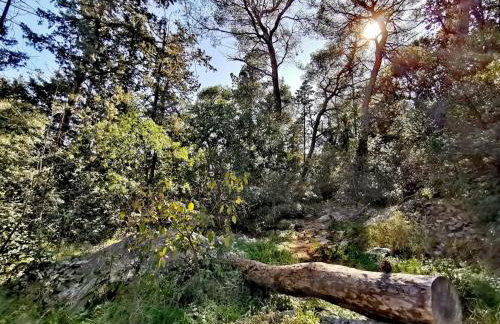 Luxury apartment Marjan - Black - Photo 28