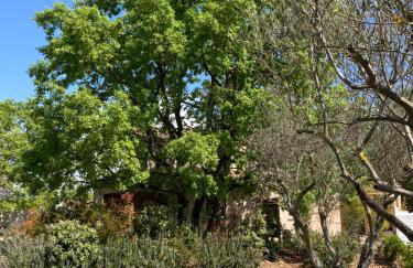 SOUS UN OLIVIER Gîte Le Mûrier, au calme avec climatisation et piscine - Foto 9