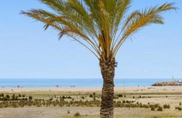 1ª LÍNEA DE PLAYA. Apartamento: LA CALMA - Foto 6