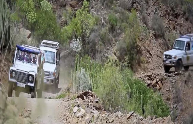 Découvrez le Nord de l'île et les plages de Cotillo en 4x4 - Excursion - Photo 2