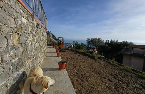 Stella di mare - appartamenti vista incantevole su Moneglia - Foto 64