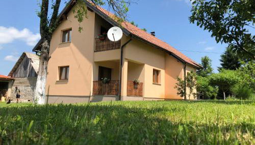 Apartman Jelena - Foto 4, Garden