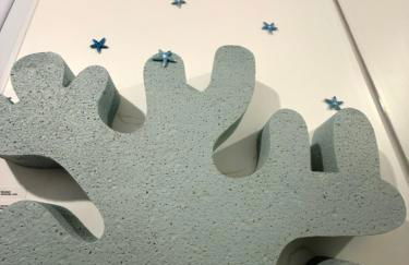 La Belle et le Nooki - Foto 26