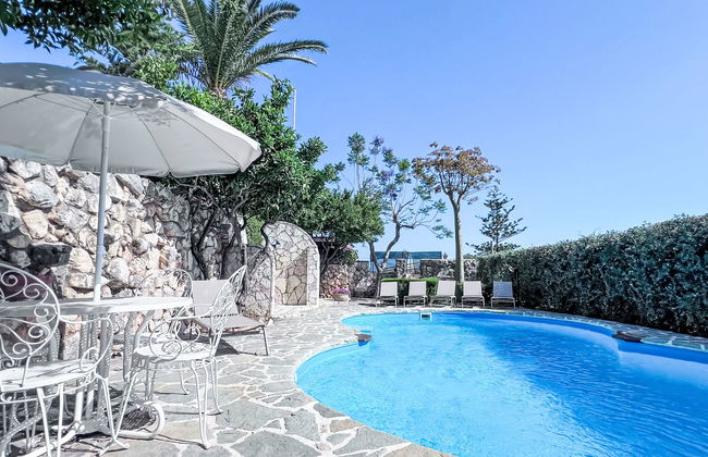 Melograno di Patrizia - Foto 22