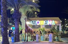 Balcones de Roquetas III - Foto 47