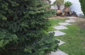 Garden House - Photo 8