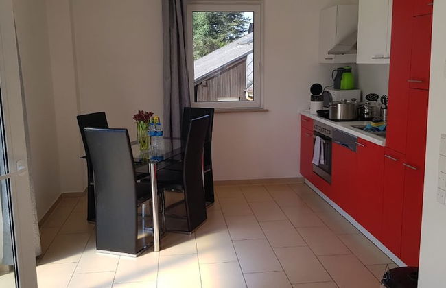 Sahara Falcon - Foto 53