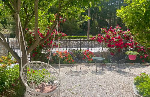 Dreamcatcher of Zeus - Foto 3