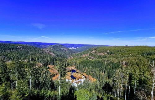 Traumhafte Maisonette-Wohnung im Schwarzwald - Foto 44