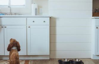 Sage Haven #6 - Foto 9