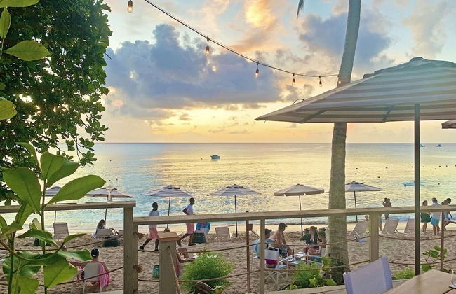 Palm Grove by Bluescape - Foto 43