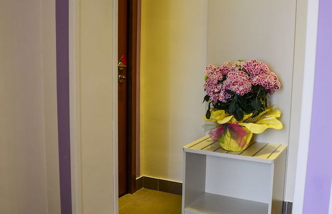 Il Piccolo Piacenza - Foto 67