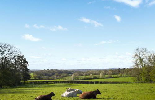 Cuckoo - Safari Tent - Ukc8981 - Foto 17