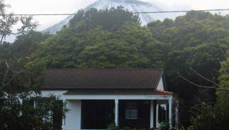 Casa Amaral - Photo 5, Garden