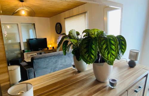 Au charmant sarment - Foto 10