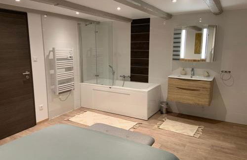 Gîte mon rêve à Scherwiller avec SPA sur la route des vins au coeur de l'alsace - Foto 8