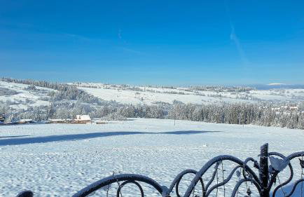 Willa Rąbanisko z sauną fińską - Foto 66
