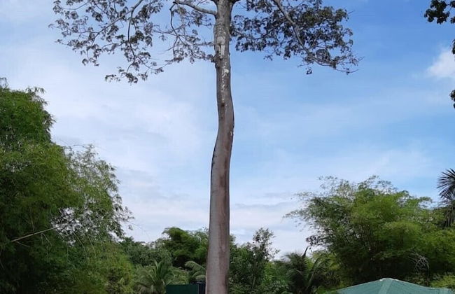 Hurakabra River Resort - Foto 18