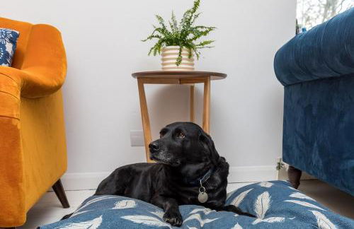 Lower Barn House at Westerlands Farm Sleeps 11 - Foto 13