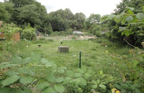 Piraten-Nest - Foto 23