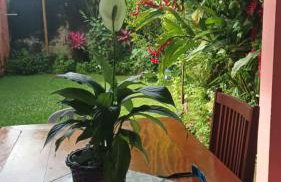 Casa Temporada Bertioga- Indáia - Foto 74