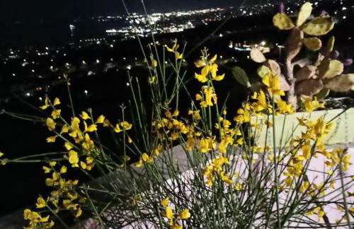 La Petite Maison - Foto 28