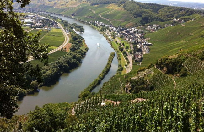 Vinum Comfortable Holiday Residence - Photo 24