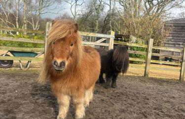 Sunset Retreat - Photo 9