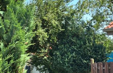 Harmonie im Grünen-Erdgeschoss-Ferienwohnung mit eigenem Eingang und direktem Gartenzugang - Photo 6