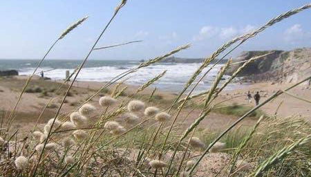 Appartement terrasse esprit loft vue sur mer - Foto 1