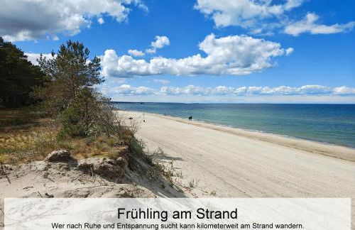 Ostsee-Urlaub-Zempin direkt am Küstenwald, nur wenige Minuten zum Strand, optimal für Paare mit 1 Hund bis 45 cm Schulterhöhe - Foto 36