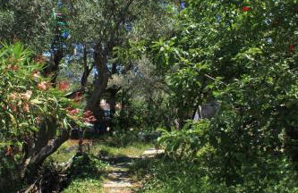 Apartments by the sea Valun, Cres - 386 - Foto 7