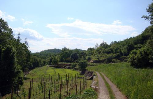 Apartment Luno - Foto 51