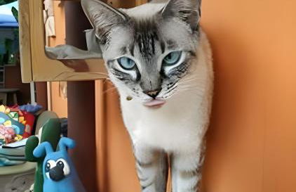 Quintal do Contêiner em Manguinhos - Photo 92