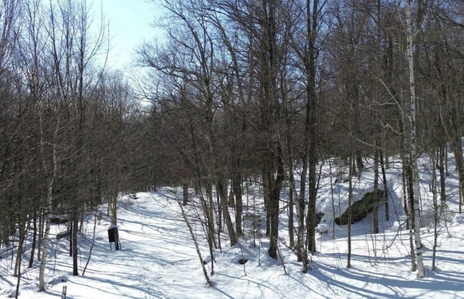 Clyde's Cabin 4 Bedroom Home - Foto 31