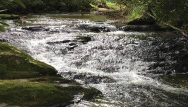 Pine Log Lodge - Foto 3