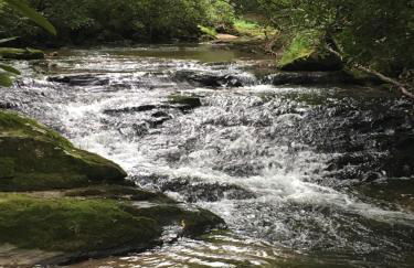 Pine Log Lodge - Foto 3