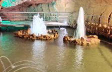 Casa Dos Vales 11 - Foto 54