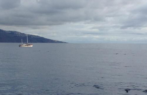 Villa Isabela - Car Rental for Free - Foto 67