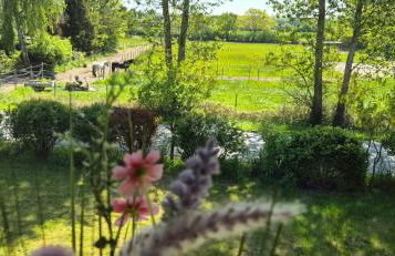 Kleiner Stern - Foto 29